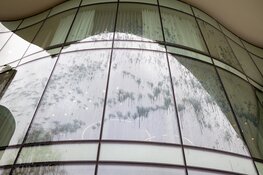 Activisten besmeuren provinciehuis Haarlem uit protest tegen Tata