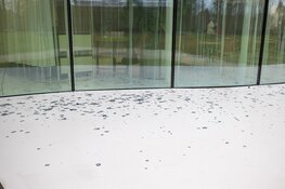 Activisten besmeuren provinciehuis Haarlem uit protest tegen Tata