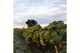 Herenboeren Rorik blikt terug op succesvol 2024 en opent inschrijving voor nieuwe leden