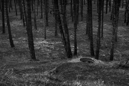 Gemeentehuis Bloemendaal toont foto expositie Land en Sporen