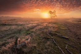 Lezing Bas Meelker ( o.a bekend van het perfecte plaatje )   “Landschapsfotografie door de jaren heen”