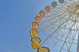 Avonturenboerderij Molenwaard: een prachtige dag vol avontuur voor het hele gezin