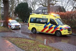 Bestuurder gereanimeerd na botsing tegen boom in Heemstede