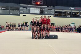 Mooie prestaties turnsters Toss