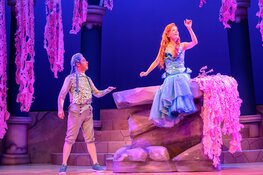 Succesoptie sprookjesmusical De Kleine Zeemeermin om 16.00 uur