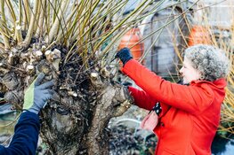Wethouders uit Bloemendaal steken de handen uit de mouwen tijdens NLdoet 2025