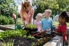VWC-BUUV fleurt met TipTopTuinen Haarlem en omgeving op