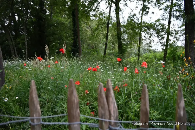 Voormalig schietterrein wordt natuurgebied