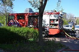 Brand in achtertuin Beverwijk: vermoedelijk aangestoken