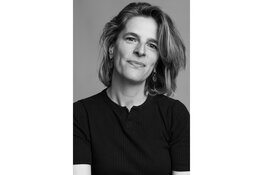 Het Haarlemse succes in de Bronzen Uil