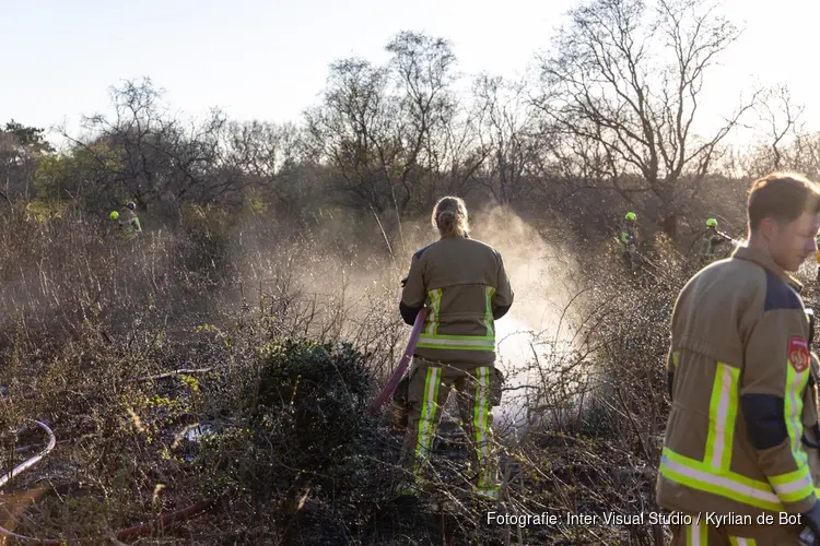 Duinbrand bij Heemskerk