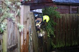Brand in achtertuin van woning in Plataanstraat in Haarlem