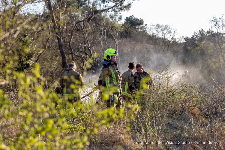 Aanhouding verdachte duinbrand Heemskerk