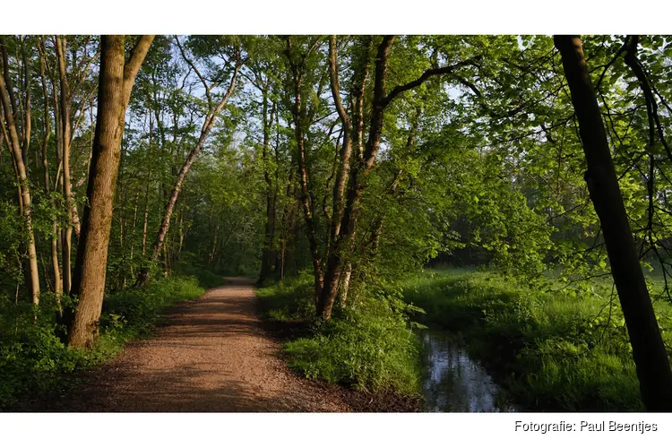 Lentewandeling in park Westerhout – Beverwijk