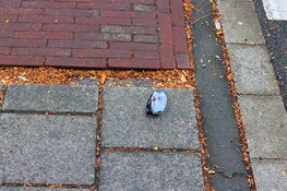 Autoruit barst na aanrijding met fietser: persoon naar ziekenhuis in Heemstede