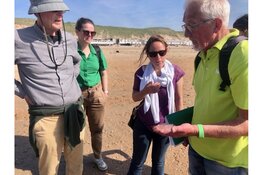 Ga mee op ontdekkingstocht op het strand van Castricum