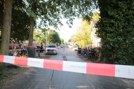 Politie heeft handenvol aan kind dat op dak met dakpannen staat te gooien in Haarlem