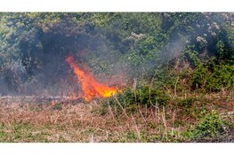 Brandweer blust natuurbrand in Heemskerk