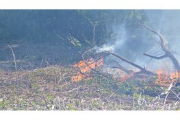 Brandweer blust natuurbrand in Heemskerk