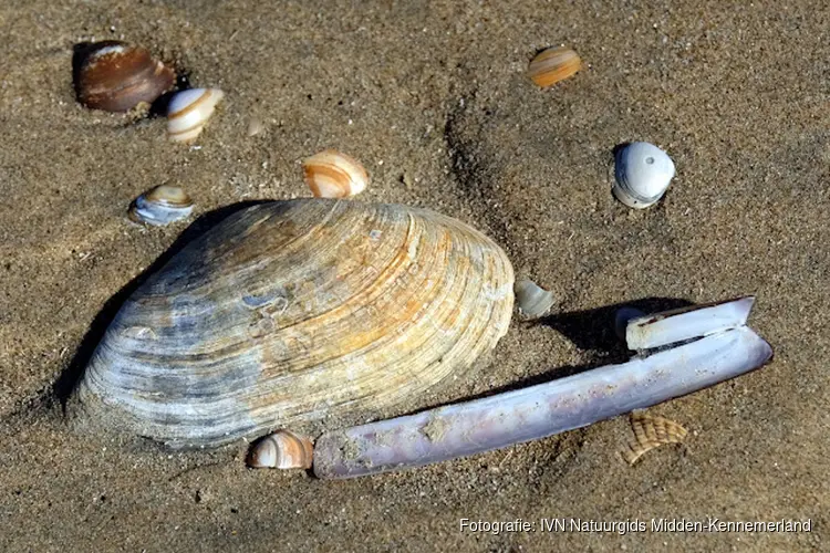 Slenter mee over het strand van Heemskerk!