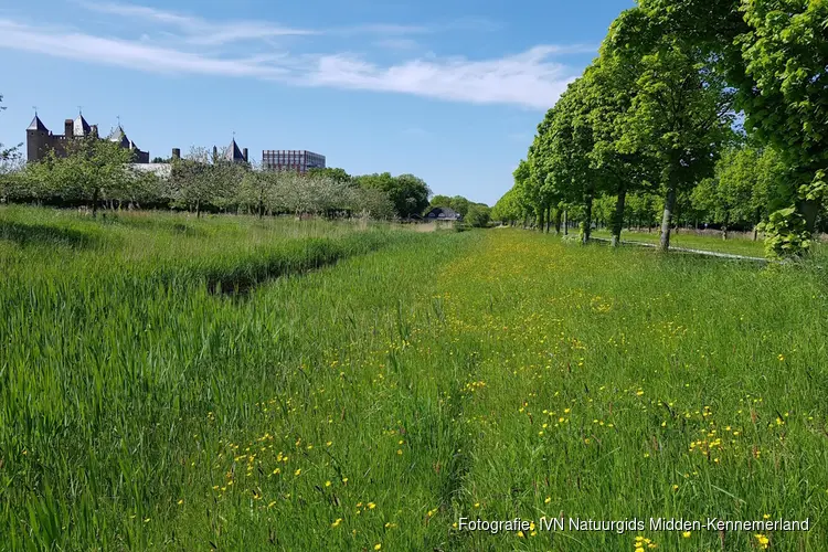 Zomerse Wandeling in Park Assumburg
