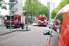 Vier woningen tijdelijk ontruimd bij woningbrand in Haarlem
