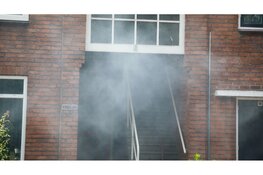 Brandweer redt kat uit brandende woning Velsen Noord