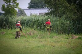Hond duikt het water in en verdwijnt, brandweer start zoekactie
