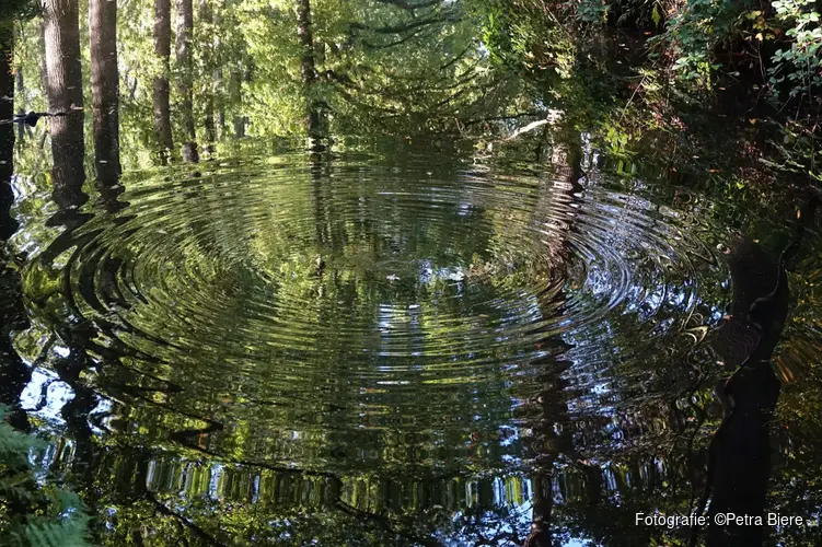 Waterspiegelingen van Petra Biere in het Koetshuijs