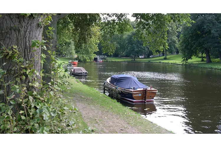 Een mooie en verrassende ochtendwandeling langs de natuur in de historische binnenstad  van Haarlem