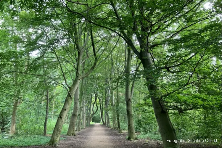 Stichting Oer-IJ organiseert weer een wandeling op 17 augustus