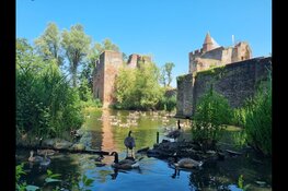 Natuurexcursie Ruïne van Brederode