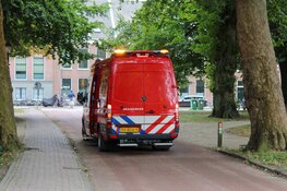Persoon net op tijd uit water gered door omstanders in Haarlem