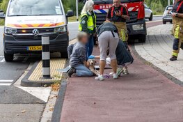 Hond raakt bekneld tussen voorwiel van fiets in Bloemendaal