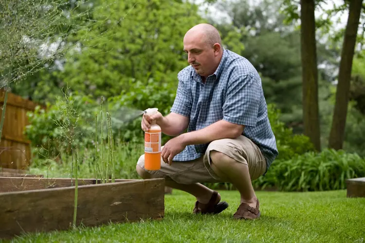 Natuurlijk je tuin beschermen met biobestrijding