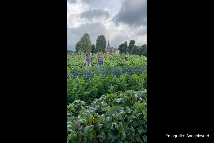 Zelfoogsttuin op Marquette brengt oude moestuin weer tot leven