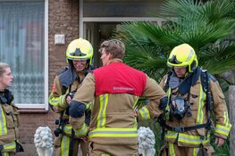 Bewoner naar ziekenhuis bij brand in woning Heemskerk
