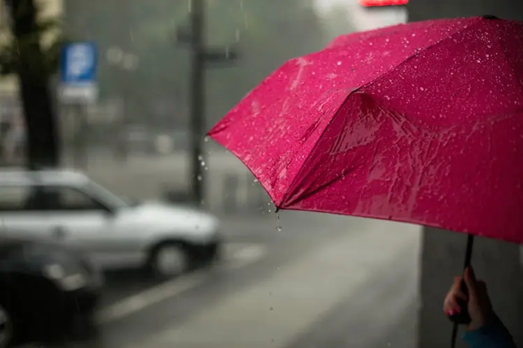 Wat Lokale Bewoners in Alkmaar Doen op Regenachtige Weekenden