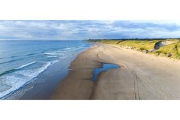 Lezing: De dynamiek van het duingebied in Noord-Kennemerland