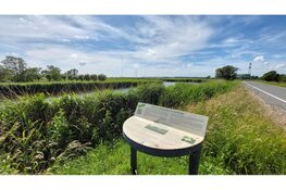 Focus op de stikstofgevoelige natuurgebieden voor natuurontwikkeling