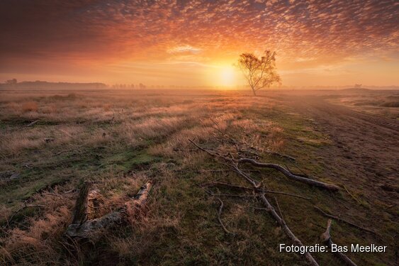 Workshop herfstlandschap in Beeckesteijn met Bas Meelker