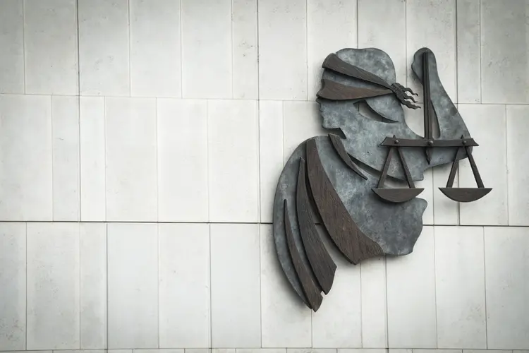 Politieagent die hond doodschoot in Haarlem wordt niet vervolgd