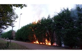 Coniferenhaag vliegt in brand bij zwembad in Heemskerk