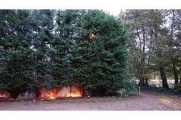 Coniferenhaag vliegt in brand bij zwembad in Heemskerk