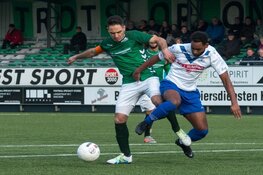 DEM doet zichzelf te kort in Hardenberg