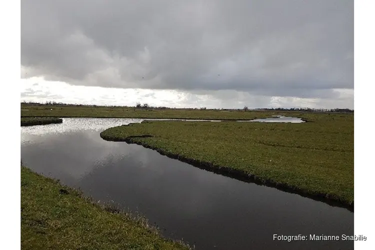 Oer-IJ lezing De waterhuishouding van het Oer-IJ gebied