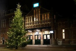 Kerstbomen brengen weer licht in de openbare ruimte