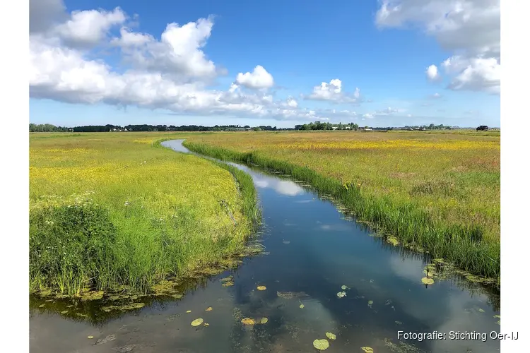 Stichting Oer-IJ brengt gebiedsplan uit  voor toekomst van het Oer-IJ gebied
