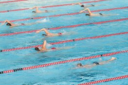 Het leukste en sportiefste zwemevenement voor de hele familie! De Winter Zwem4daagse!