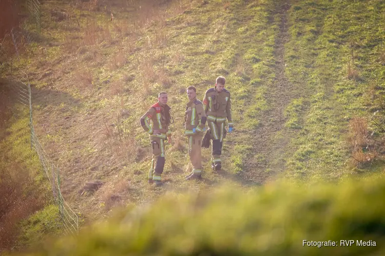 Tevergeefse zoekactie naar schaap in nood